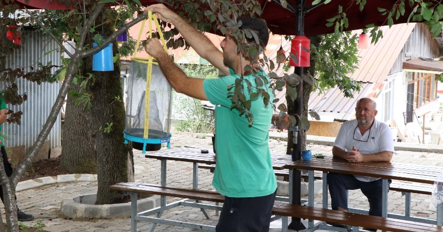 Büyükşehir’in karasinek kapanları çok işe yarıyor