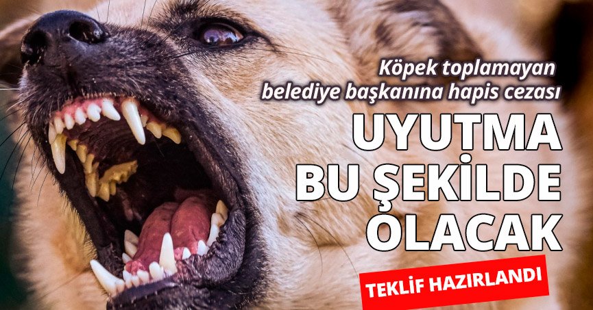 Teklif, AK Parti grubunda imzaya açıldı! 