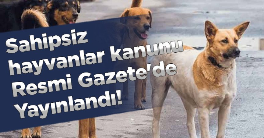 Sahipsiz hayvanlara yönelik düzenlemeler içeren kanun Resmi Gazete'de