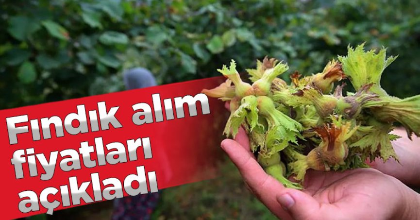 TMO fındık alım fiyatlarını açıkladı