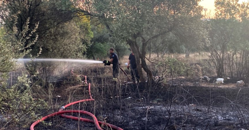 Mangaldan çıkan yangın 2 dönümlük alanı küle çevirdi