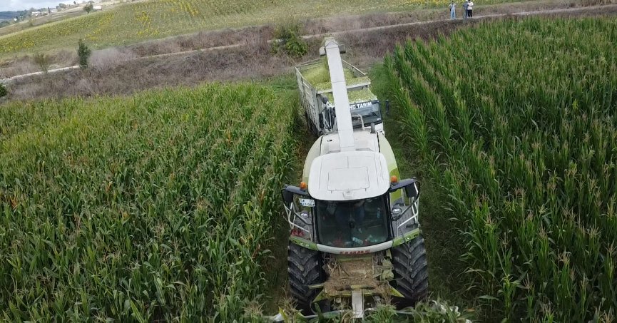 37 bin dekar mısır tarlası tarıma kazandırıldı