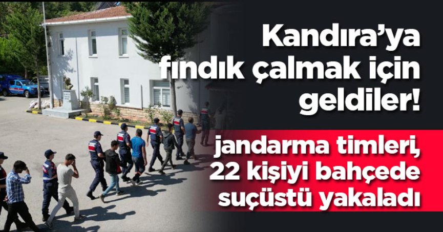 Fındık hırsızlarının hayali jandarmanın planıyla suya düştü: 22 gözaltı