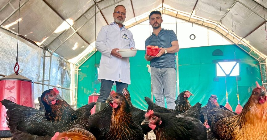 Büyükşehir destekliyor, çiftçinin yüzü gülüyor