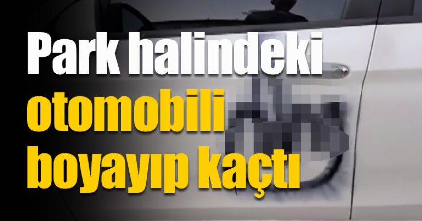 Park halindeki otomobili boyayıp kaçtı