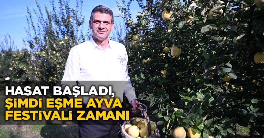 HASAT BAŞLADI, ŞİMDİ EŞME AYVA FESTİVALİ ZAMANI