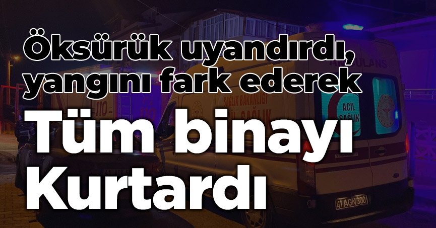 Öksürük uyandırdı, yangını fark ederek tüm binayı kurtardı