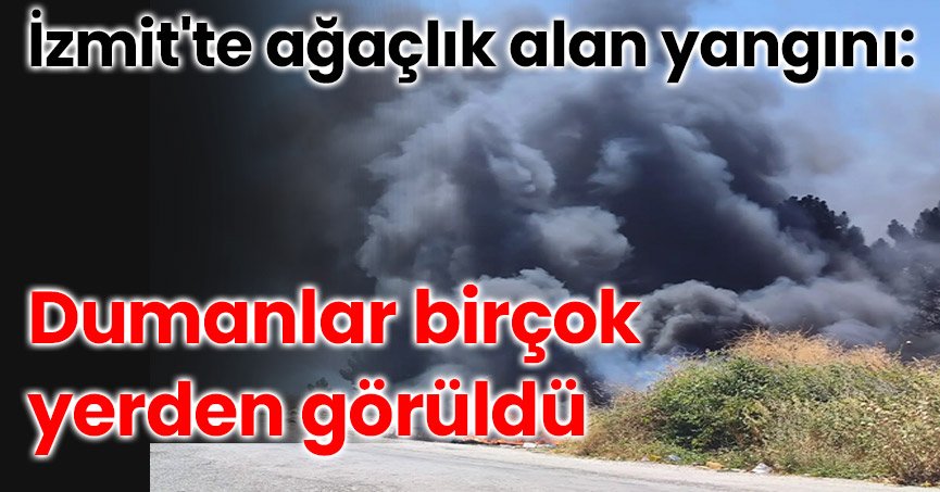 İzmit'te ağaçlık alan yangını: Dumanlar birçok yerden görüldü