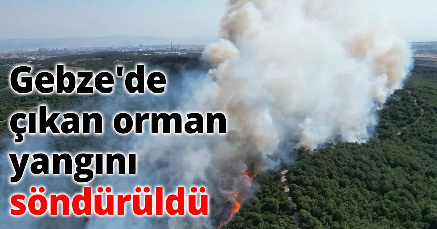 Gebze'de çıkan orman yangını kontrol altına alındı