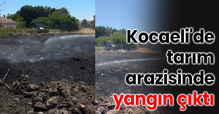 Kocaeli'de tarım arazisinde yangın çıktı