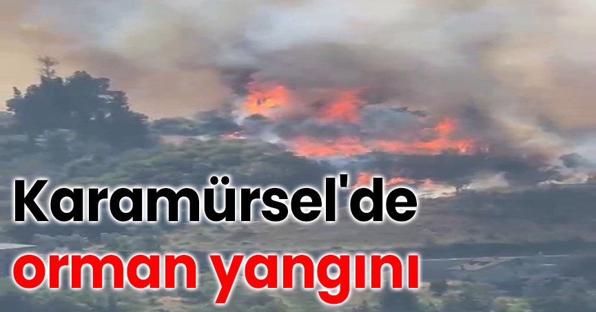 Karamürsel'de orman yangını başladı