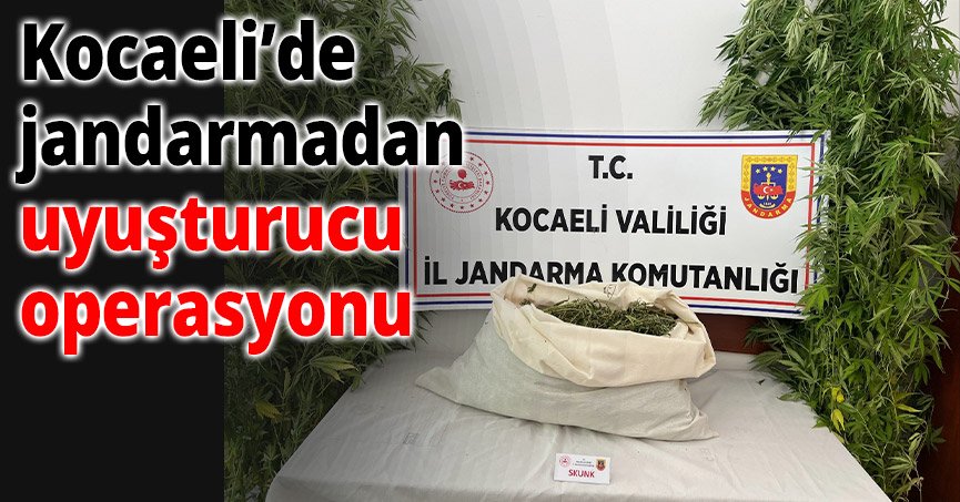 Kocaeli’de Jandarmadan Uyuşturucu Operasyonu: 3 Kişi Hakkında İşlem Başlatıldı