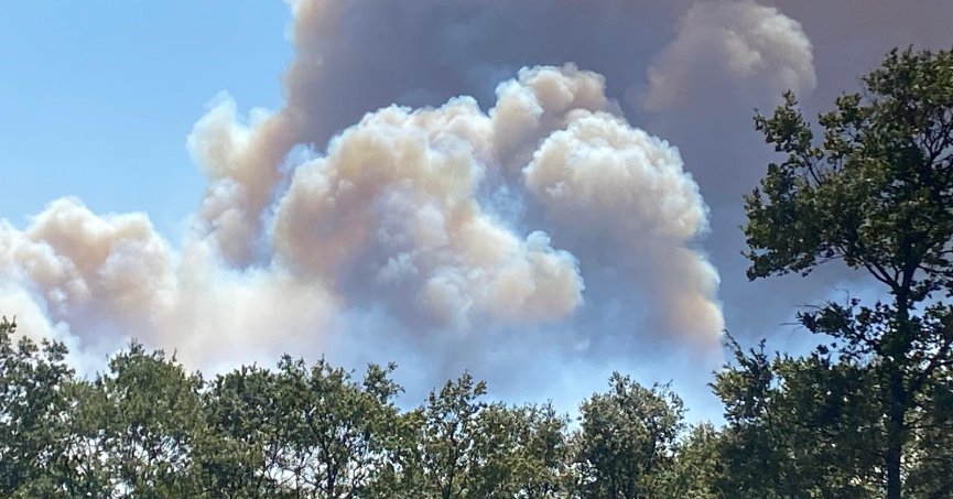 Kocaeli'deki orman yangınına havadan ve karadan müdahale ediliyor
