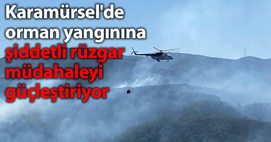 Karamürsel'de orman yangınına şiddetli rüzgar müdahaleyi güçleştiriyor
