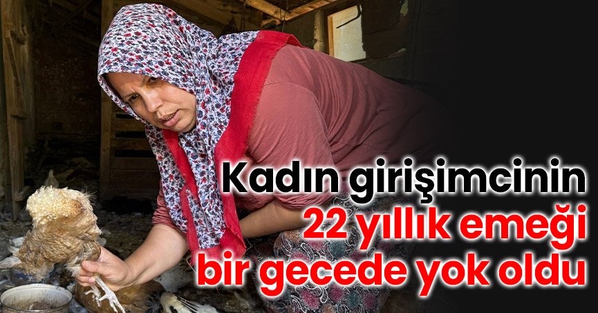 Kadın girişimcinin 22 yıllık emeği bir gecede yok oldu