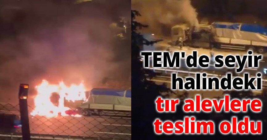 TEM'de seyir halindeki tır alevlere teslim oldu