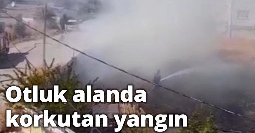 Otluk alanda korkutan yangın