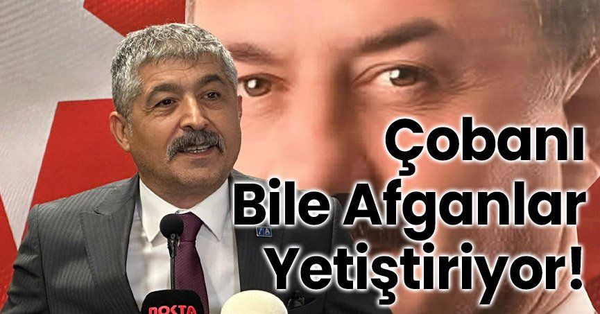 Çobanı Bile Afganlar Yetiştiriyor!