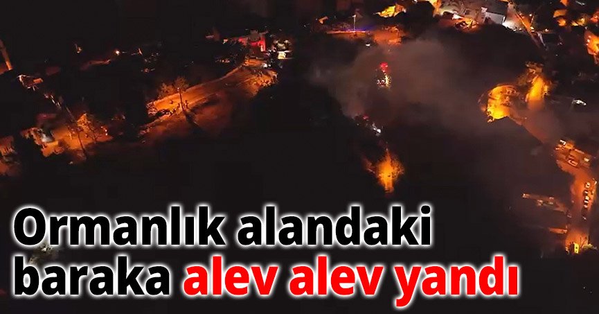 Ormanlık alandaki baraka alev alev yandı