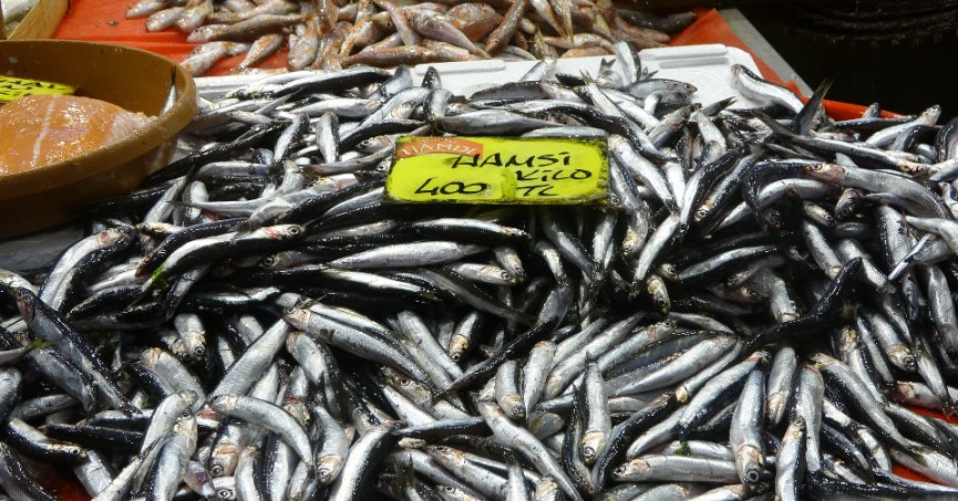 Fiyatlar düştü, ekimde bolluk bekleniyor