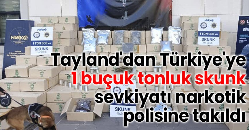 Tayland'dan Türkiye'ye 1 buçuk tonluk skunk sevkiyatı narkotik polisine takıldı