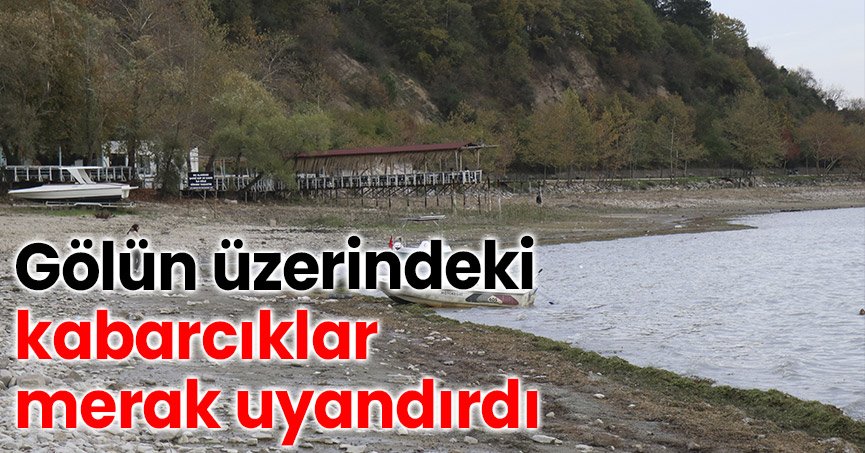 Gölün üzerindeki kabarcıklar merak uyandırdı