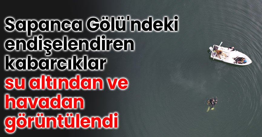Sapanca Gölü'ndeki endişelendiren kabarcıklar su altından ve havadan görüntülendi
