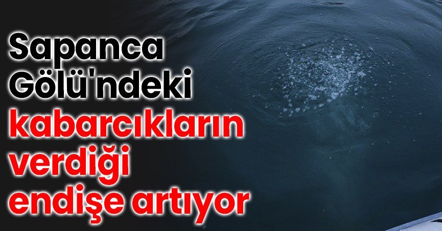 Sapanca Gölü'ndeki kabarcıkların verdiği endişe artıyor