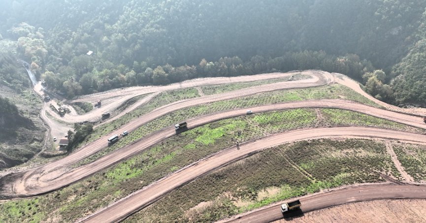 Körfez'e 3 bin 300 Toros sediri dikilecek