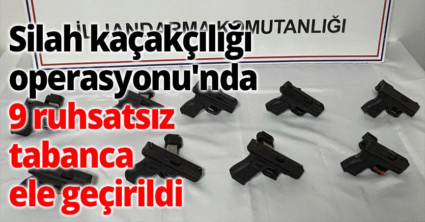 Silah kaçakçılığı operasyonu'nda 9 ruhsatsız tabanca ele geçirildi
