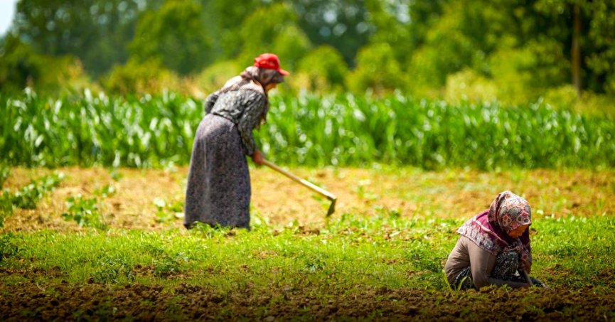 Kocaeli’de kooperatif ve birliklere yüzde 75 hibe desteği yeniden devrede