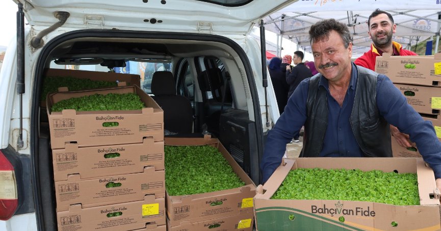 Kocaeli’de çiftçilere sebze fidesi desteği