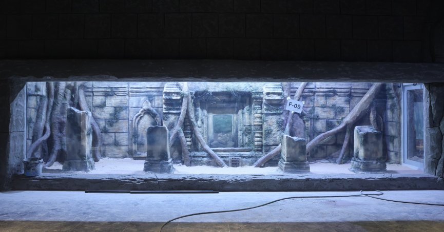 30 farklı akvaryum eşsiz bir gezi yaşatacak