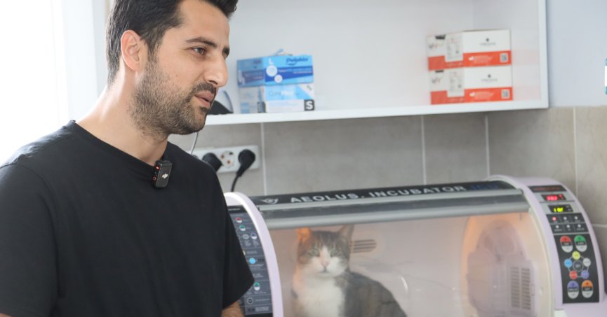 Kral ölümden döndü, zorlu ameliyat başarıyla tamamlandı