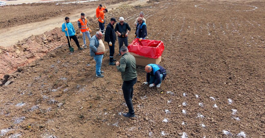 Gül Bahçesi Parkı’nda Fidanlar Toprakla Buluşuyor