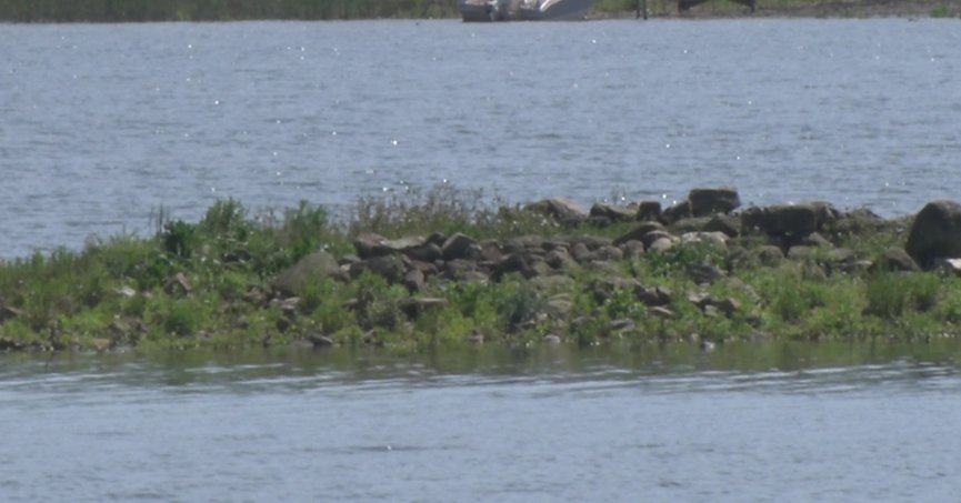 Sapanca Gölü çekildi: Gizemli ada yeniden ortaya çıktı