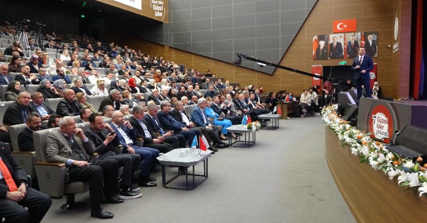 Başiskele'de sokak hayvanı şikayetleri büyük oranda düştü 