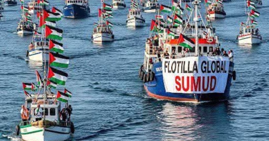 “Şahin Yaşlık ve tüm aktivistler  hemen serbest bırakılsın”