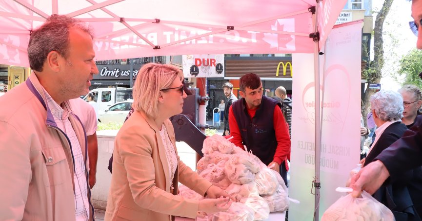 İzmit Belediyesinden vatandaşa ücretsiz istiridye mantarı