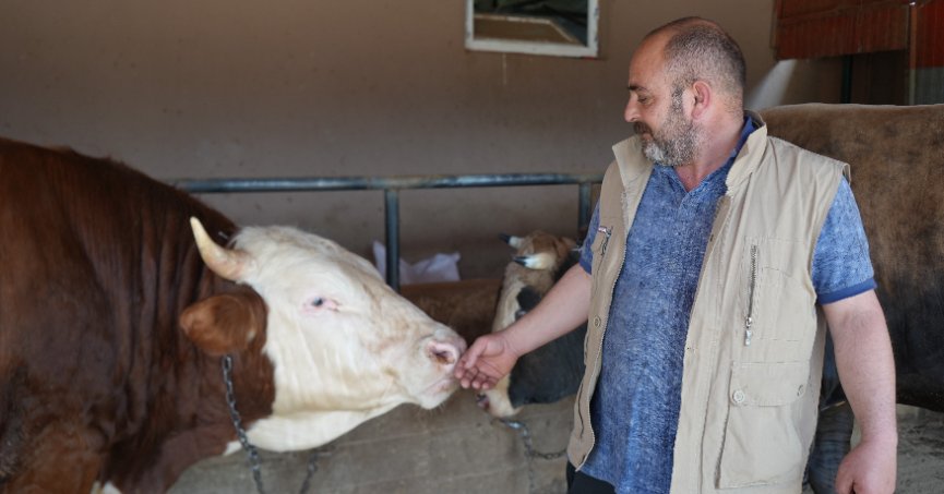 Fiyatı neredeyse yarım milyon