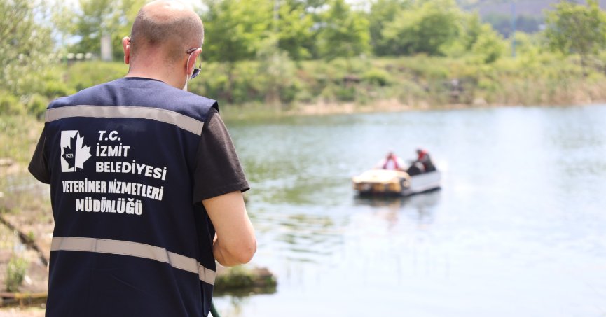 İzmit’te ilaçlama çalışmaları amfibik araç desteğiyle devam ediyor