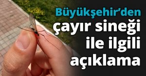 Büyükşehir’den çayır sineği ile ilgili açıklama