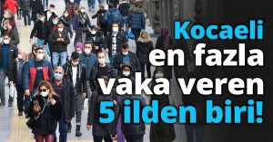 Kocaeli en fazla vaka veren 5 ilden biri!