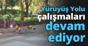 Yürüyüş Yolu çalışmaları devam ediyor
