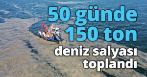 50 günde 150 ton deniz salyası toplandı