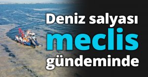 Deniz salyası meclis gündeminde