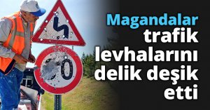 Magandalar trafik levhalarını delik deşik etti