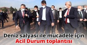 Deniz salyası ile mücadele için Acil Durum toplantısı