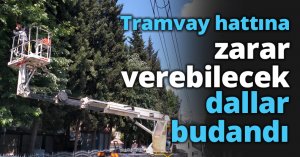 Tramvay hattına zarar verebilecek dallar budandı