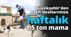 Büyükşehir'den patili dostlarımıza haftalık 1,5 ton mama